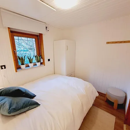 Waldseeliebe * Pinnow (Spree-Neisse)