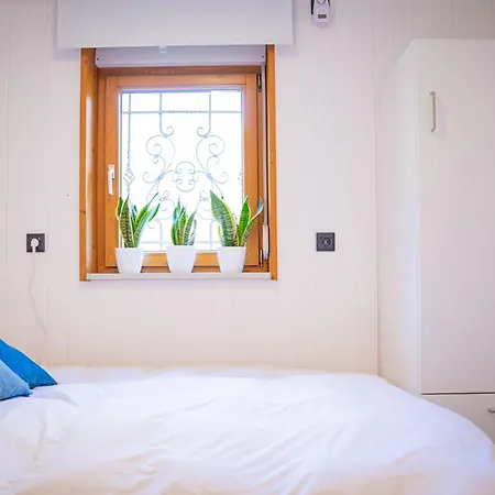 Waldseeliebe Pinnow (Spree-Neisse)