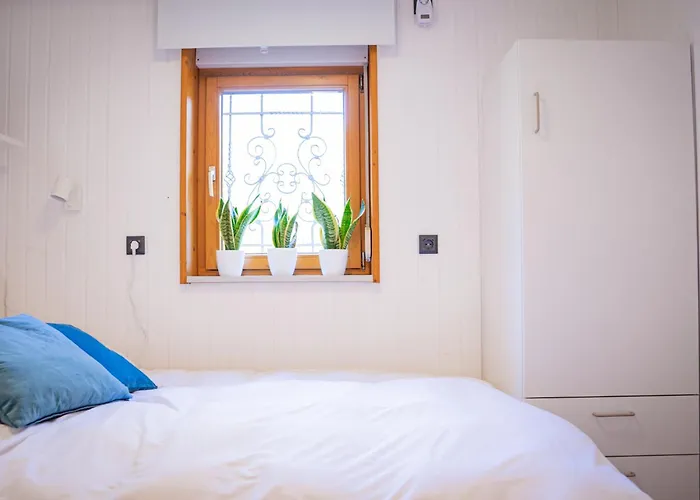 Waldseeliebe Pinnow (Spree-Neisse)